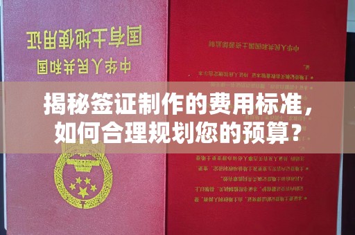 惠济揭秘签证制作的费用标准，如何合理规划您的预算？